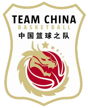 China 0-Pres Alternate Logo iron on transfers for T-shirts